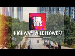 Highway Wildflowers Sovib 108229152 | Relaxing Music for Daily Peace