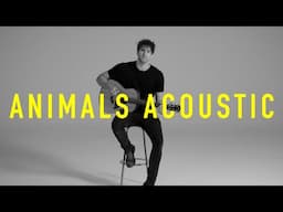 Lawson - Animals (Acoustic)