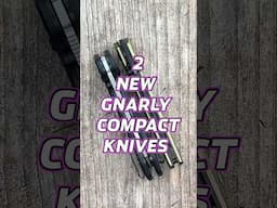 2 New Gnarly Compact Pocket Knives! #edc #shorts #knife #blade