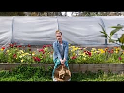 My Amazing Planter Boxes with Ranunculus Flowers