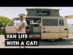 Vanlife with a Cat in an Old 1985 Toyota Hiace Campervan (Van Tour)