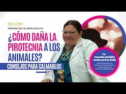 Tips para proteger a tu mascota de la pirotecnia / Pregúntale al experto