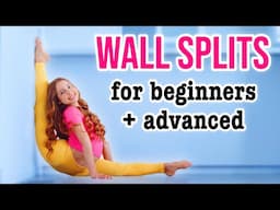 Get Wall Splits Fast! Stretches for Leg Flexibility