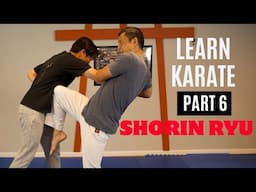 Martial Arts Tutorial | SHORIN RYU style | Part 6 (Naihanchi Nidan kata and applications)