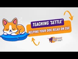 Boundary training tutorial | Stage 1 with a puppy