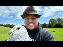 RIP MY BROS PIGEON - PRANK