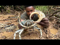 Primitive Barehand Catching Giant Crab For Food in Deep Mud Hole