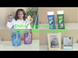 Dollar Tree Haul/Lots of New Items!!