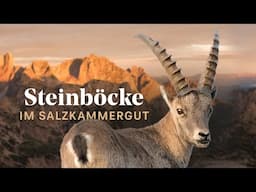 Spotting Alpine Ibex while hiking in the Salzkammergut (Austria 🇦🇹🥾)