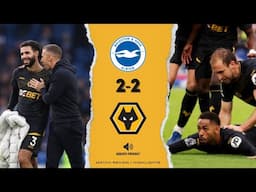 Brighton 2 Wolves 2 Review - Turning point for Gary O’Neil?