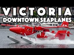 DOWNTOWN PLANE SPOTTING! Incredible Seaplane action at Victoria Harbour (YWH/CYWH)