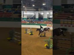 Count’s first #GrandPrix winning jumpoff! #showjumping #jumper