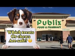 Which Dog Treats/Chews are Recommended at Publix: Canine Nutritionist Shop with Me Dog Treat Haul