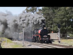 Australian steam locomotive R766 hauling "THE PICNIC TRAIN" to Moss Vale - October 2024