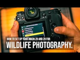 Setup your Nikon Z8 and Z9 for wildlife photography | Customise your camera like a pro!