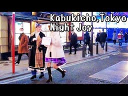 Tokyo Walk, Adult Liven up your Night in Kabukicho｜red light area district Japan 東京 新宿 歌舞伎町 4k