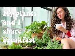 My plants and I eat the same breakfast - apartment friendly composting ideas