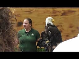 VISIT THE EXCELLENT SITKA RAPTOR CENTER