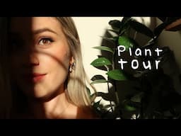 Plant Tour + Q & A 🌱🌿