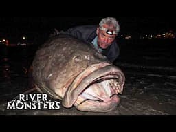 Jeremy Wade catches a HUGE 250lbs+ Queensland GROUPER by accident | River Monsters