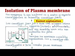 Isolation of Plasma membrane | Techniques