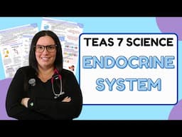 2024 ATI TEAS 7 Science Anatomy and Physiology Endocrine System with Nurse Cheung