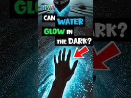 Kids Discover GLOWING Water! 🌟 Puerto Rico Bio Bay Adventure!