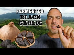 Fermented BLACK GARLIC & Superfood Tour!