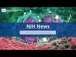 NIH News – Week of October 28, 2024