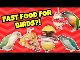 FAST FOOD FOR BIRDS ?! |  The Leather Elves and Northern Parrots Toy Unboxing! | BirdNerdSophie AD