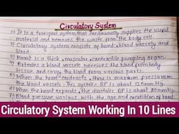 Circulatory System 10 Lines | Circulatory System Working | Human Circulatory System Working 10 Lines