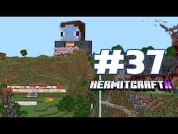 Hello! My name is... shop month? (feat. @GoodTimesWithScar ) — HermitCraft 10: ep 37