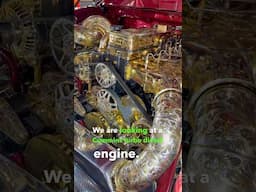 GOLD PLATED ENGINE?!?! 🤯