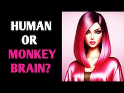 HUMAN OR MONKEY BRAIN? WHAT'S YOUR BRAIN TYPE? Genius QUIZ Personality IQ Test - 1 Million Tests