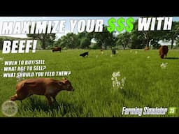 Farming Simulator 25: HOW MUCH MONEY DO BEEF CATTLE MAKE? Maximize Your Profits!