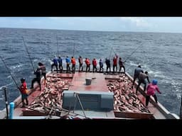 FISHING | SKIPJACK TUNA | MALDIVES