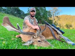 My First Buck For 2024 | Hunting Fallow Deer