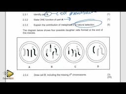 LIFE SCIENCES P.2  GRADE 12  life sciences  meiosis [THUNDEREDUC] BY: M.SAID