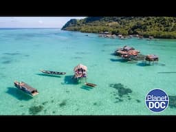 What is it like to live on a boat? This is how the Bajau are, nomads of the Sea (FULL DOCUMENTARY)