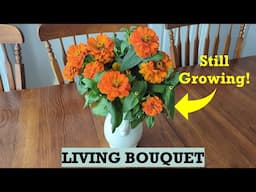 Growing a Living Flower Bouquet