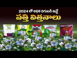 5 New Hybrid Cotton Seeds |  High Yield Hybrid Cotton Varieties | best cotton seeds in 2024