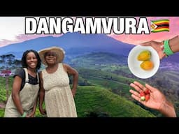 SLOW LIVING In A Zimbabwean Township | Dangamvura Mutare🇿🇼