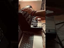 A little Korg MS-20 jam #synth #shorts #ms20 #synthesizer #analog #vintage