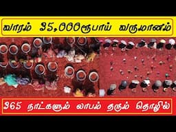 வாரம் 35ஆயிரம் வருமானம் தரும்  small business ideas in tamil | business ideas,small business ideas