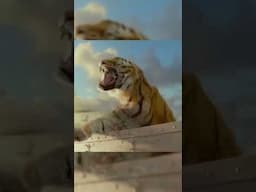 Did You This About the Tiger in Life of Pi Movie ???  #cinematic17 #explainedinhind #movie