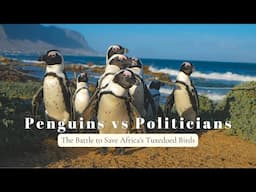 Conservation News Ep.2 | Penguins vs Politicians