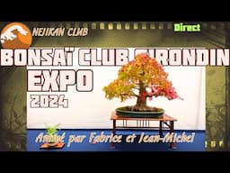 Expo Bonsai Club Girondin 2024 🟢 NEJIKAN CLUB PUBLIC 🟢