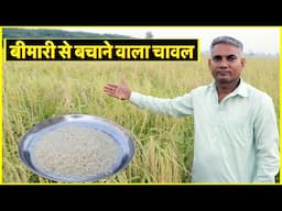 बीमारियों से बचाने वाला चावल उगाता है ये किसान ||Technical Farming ||   #rice