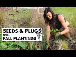 Planting Native Violets from Seed and Plant Plugs 🌸 || Flock Finger Lakes