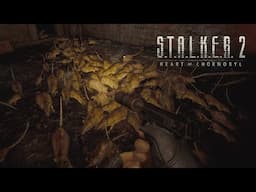 STALKER 2: Heart of Chornobyl - RATS, RATS EVERYWHERE